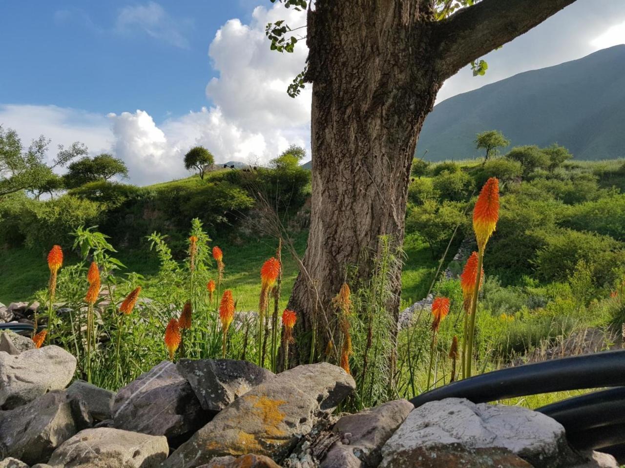 Villa La Morada Purmamarca Esterno foto